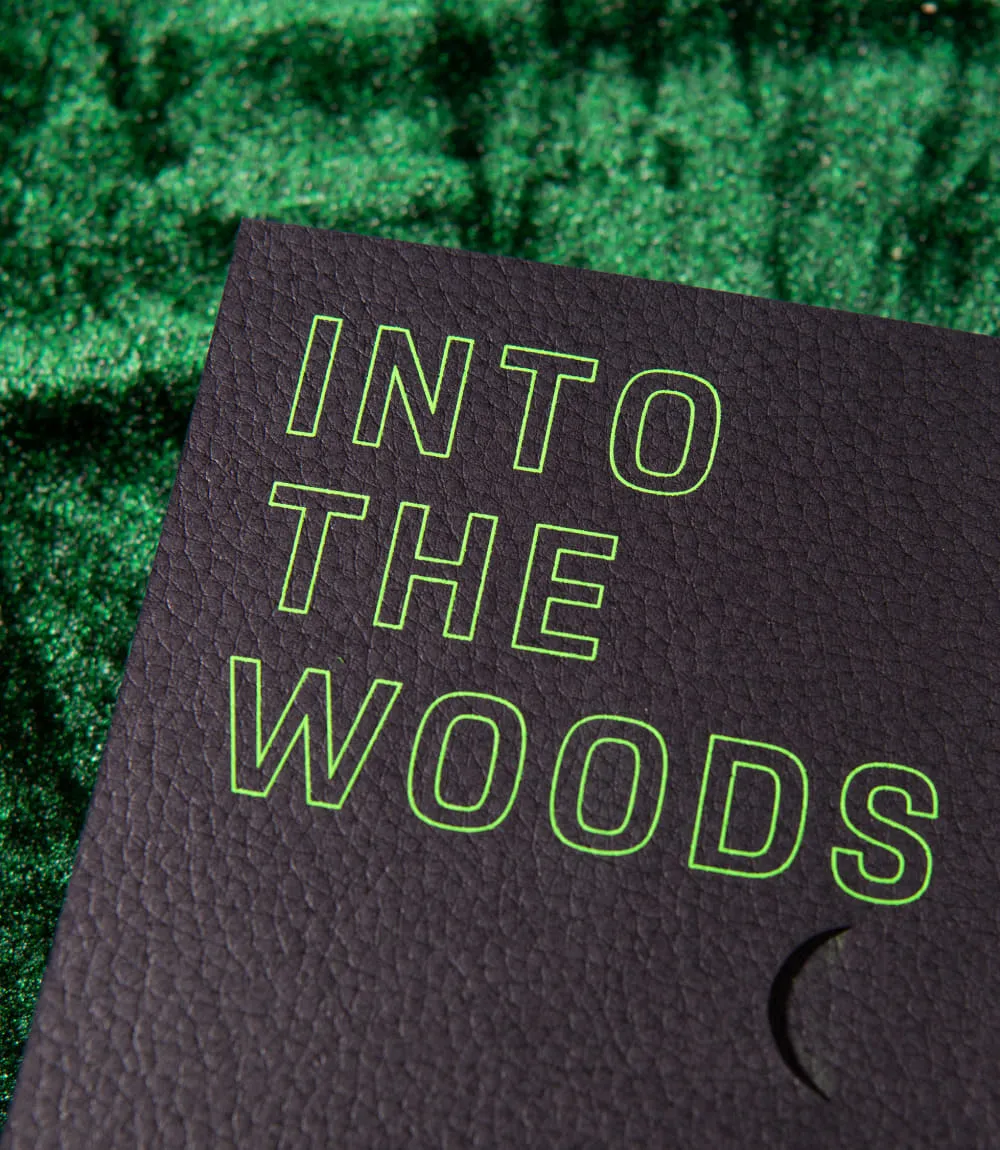 Vor dunkelgrünem Satinstoff ist eine schwarze Mappe in Lederoptik zu sehen, mit grün schraffierter Aufschrift INTO THE WOODS.