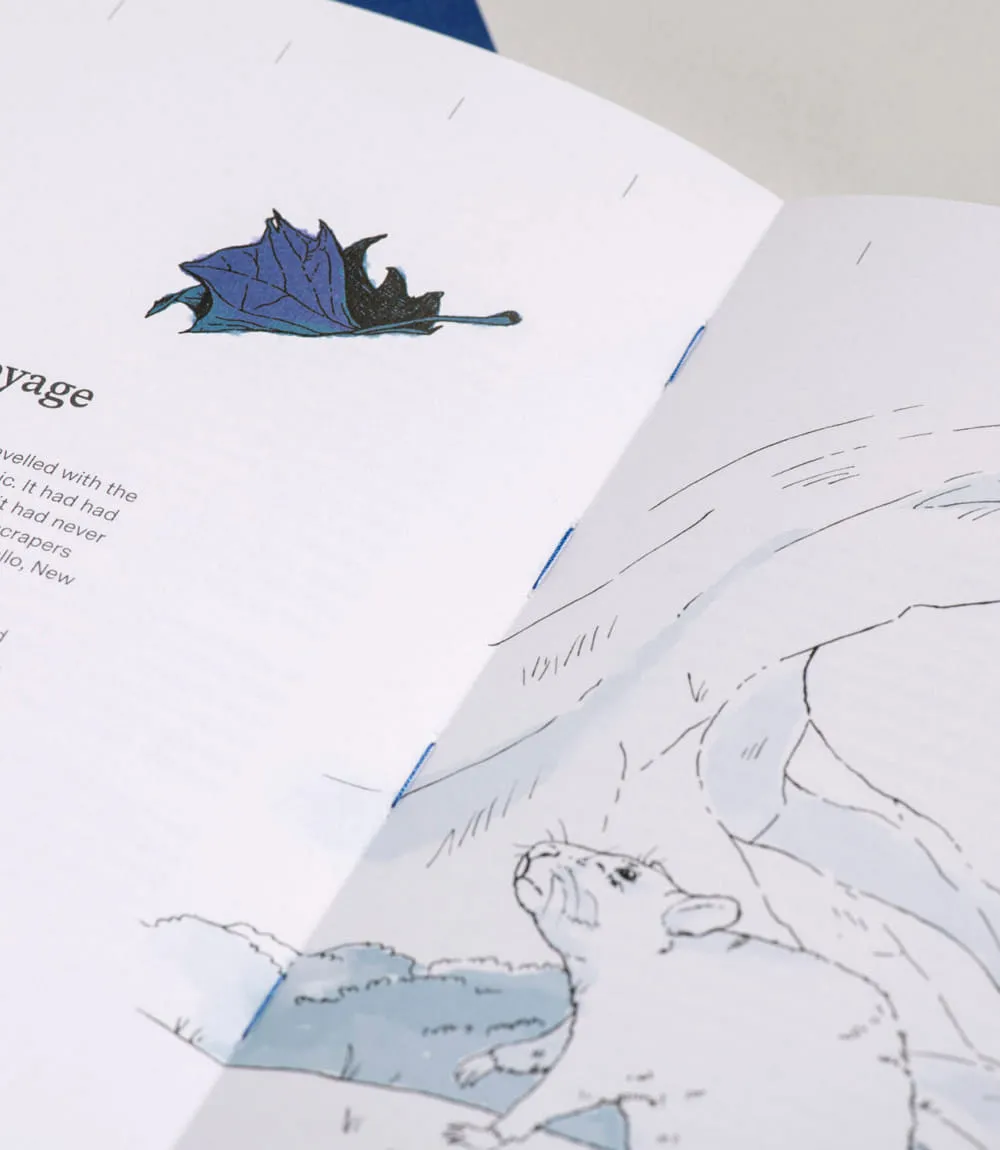 Aufgeschlagenes Buch mit einer illustrierten Szene, in der ein blaues Blatt vom Himmel fällt und eine Maus es erstaunt betrachtet.